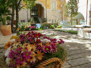 Temps de Flors 2021. El Pati de les Magn&ograve;lies