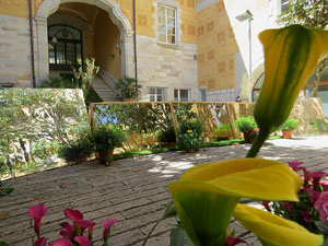 Temps de Flors 2021. El Pati de les Magn&ograve;lies