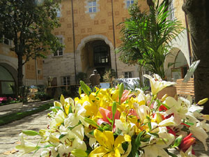 Temps de Flors 2021. El Pati de les Magn&ograve;lies