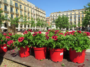 Temps de Flors 2021. Making of de l'esdeveniment