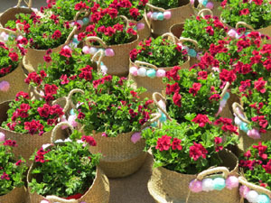 Temps de Flors 2021. Making of de l'esdeveniment