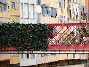 Temps de Flors 2021. Making of de l'esdeveniment