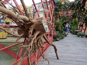 Temps de Flors 2021. Making of de l'esdeveniment