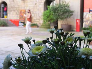 Temps de Flors 2021. Museu d'Art