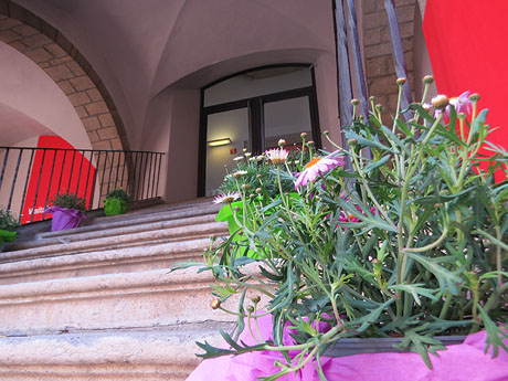 Temps de Flors 2021. Museu d'Art