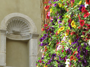 Temps de Flors 2021. La plaça del Pallol