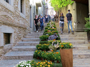 Temps de Flors 2021. Escales de la Mare de Déu de la Pera