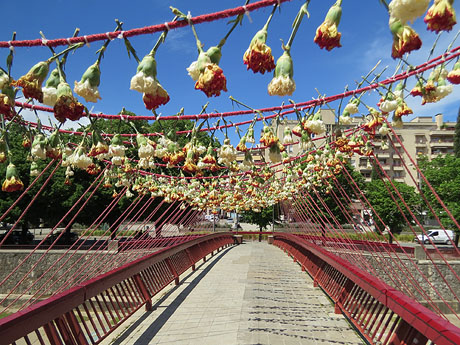 Temps de Flors 2021. Pont de l'alferes Huarte