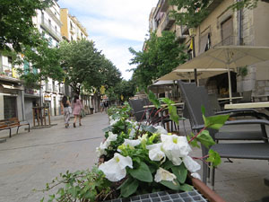 Temps de Flors 2021. La Rambla de la Llibertat