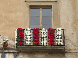 Temps de Flors 2021. Fa&ccedil;ana de Can Porcalla i Torre Rufina