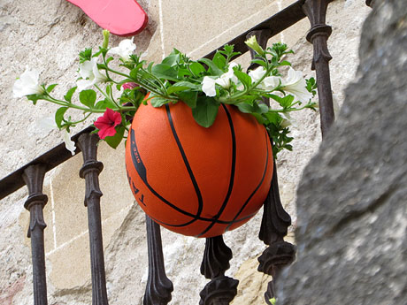 Temps de Flors 2021. Fa&ccedil;ana de Can Porcalla i Torre Rufina