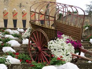 Temps de Flors 2021. UdG - Escales de Sant Dom&egrave;nec