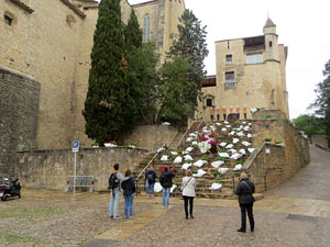 Temps de Flors 2021. UdG - Escales de Sant Dom&egrave;nec