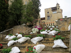 Temps de Flors 2021. UdG - Escales de Sant Dom&egrave;nec