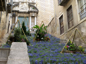 Temps de Flors 2021. Escales de Sant Martí