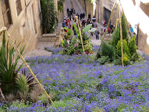 Temps de Flors 2021. Escales de Sant Martí