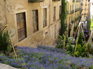 Temps de Flors 2021. Escales de Sant Martí