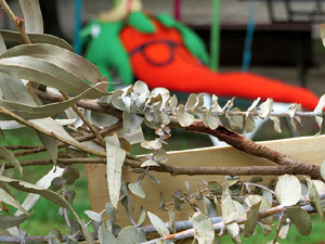 Temps de Flors 2021. Pla&ccedil;a de l'Assumpci&oacute;