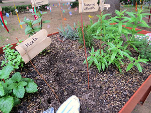 Temps de Flors 2021. Pla&ccedil;a de l'Assumpci&oacute;