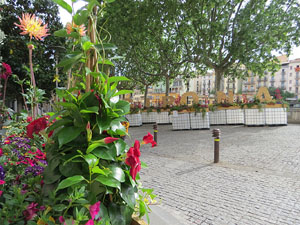 Temps de Flors 2021. Carrer de Santa Clara
