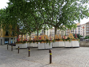 Temps de Flors 2021. Carrer de Santa Clara