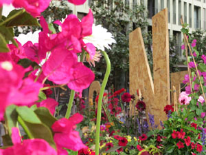 Temps de Flors 2021. Carrer de Santa Clara