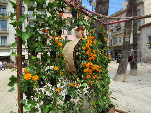 Temps de Flors 2021. Pla&ccedil;a de Santa Susanna del Mercadal