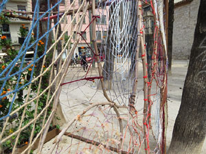 Temps de Flors 2021. Pla&ccedil;a de Santa Susanna del Mercadal
