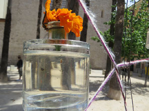 Temps de Flors 2021. Pla&ccedil;a de Santa Susanna del Mercadal