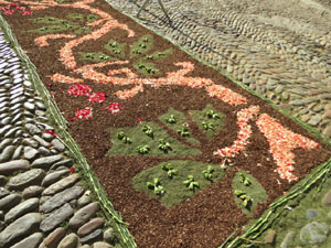 La Diada de Corpus 2022. Les catifes de flors