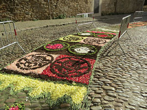 La Diada de Corpus 2022. Les catifes de flors