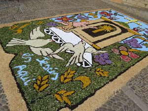 La Diada de Corpus 2022. Les catifes de flors