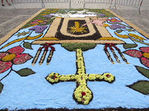 La Diada de Corpus 2022. Les catifes de flors