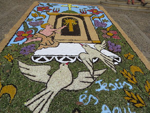 La Diada de Corpus 2022. Les catifes de flors