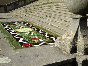 La Diada de Corpus 2022. Les catifes de flors
