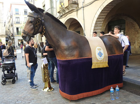 La Mulassa de Falset a la pla&ccedil;a del Vi