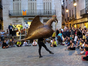 Fires de Sant Narc&iacute;s 2022. Assaig de Fal&middot;lera Gironina