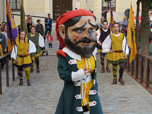 Fires de Sant Narc&iacute;s 2022. Toc de rams. Cerim&ograve;nia del canvi de rams de les gegantes
