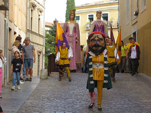 Fires de Sant Narc&iacute;s 2022. Toc de rams. Cerim&ograve;nia del canvi de rams de les gegantes