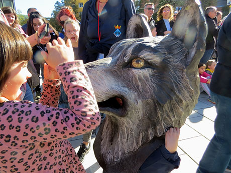 Fires de Sant Narc&iacute;s 2022. XLI Trobada de Gegants i Bestiari