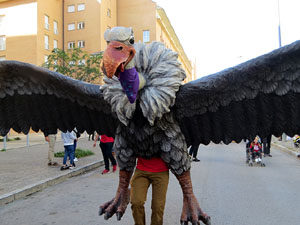 Fires de Sant Narc&iacute;s 2022. XLI Trobada de Gegants i Bestiari