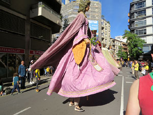 Fires de Sant Narc&iacute;s 2022. XLI Trobada de Gegants i Bestiari