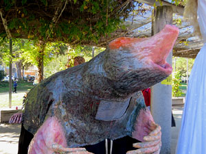 Fires de Sant Narc&iacute;s 2022. XLI Trobada de Gegants i Bestiari