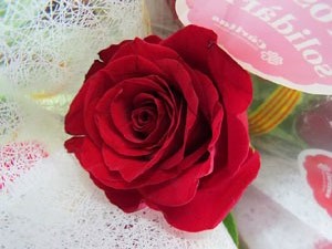 Diada de Sant Jordi 2022 a Girona