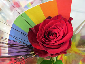 Diada de Sant Jordi 2022 a Girona