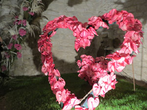 Temps de Flors 2022. Soterranis de la Catedral