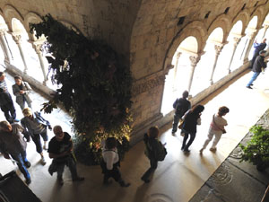 Temps de Flors 2022. Claustre de la Catedral