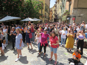 Temps de Flors 2022. Diada castellera