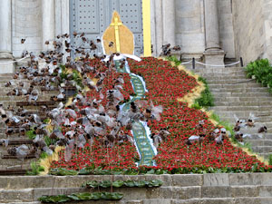 Temps de Flors 2022. Diversos espais