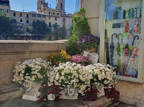 Temps de Flors 2022. Diversos espais